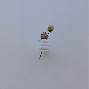 又爽又黄又无遮挡网站
